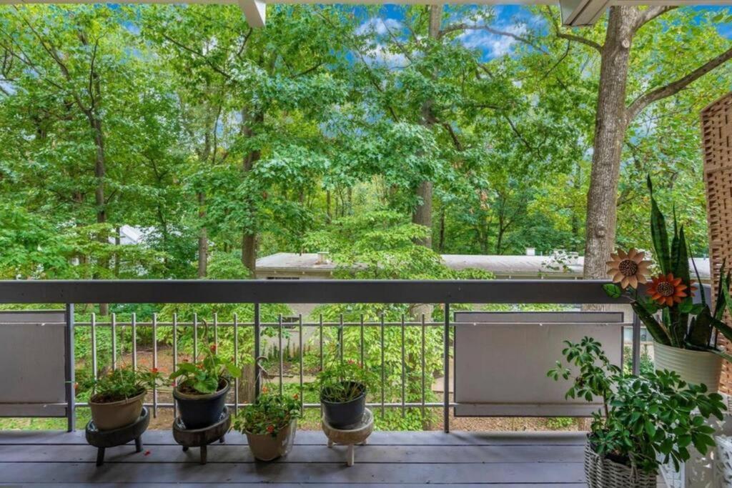 Entire One Bedroom Apartment アナンデール エクステリア 写真
