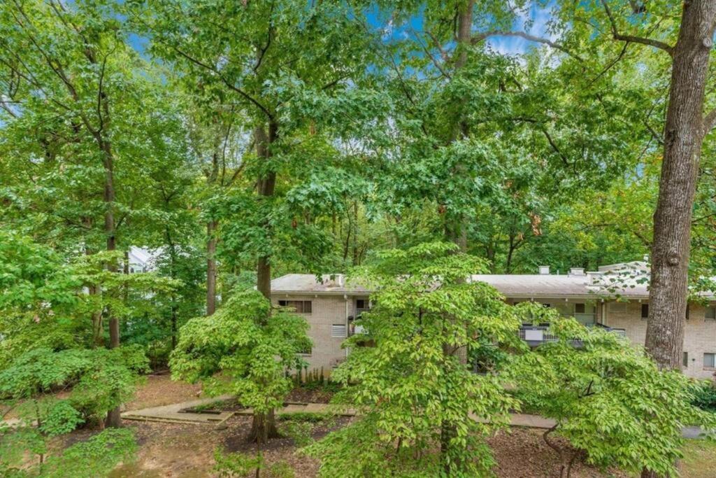 Entire One Bedroom Apartment アナンデール エクステリア 写真