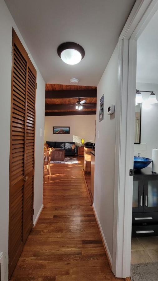 Entire One Bedroom Apartment アナンデール エクステリア 写真