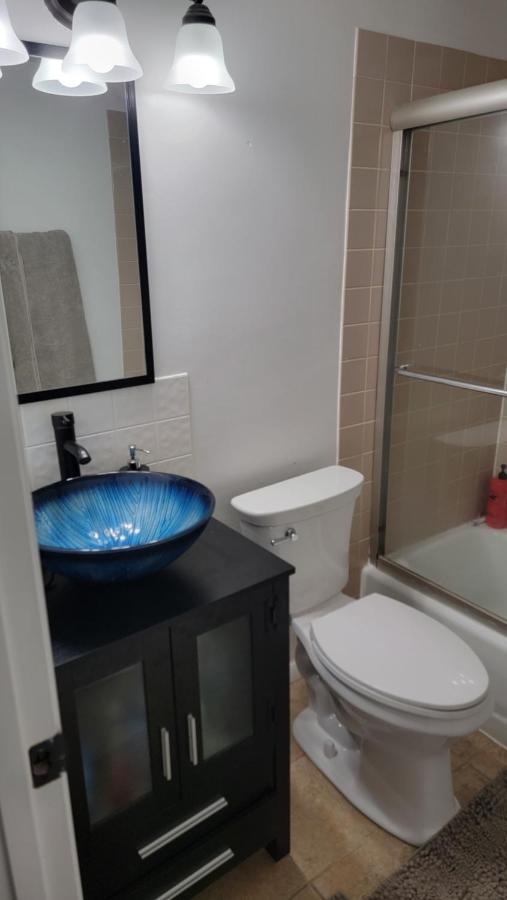 Entire One Bedroom Apartment アナンデール エクステリア 写真